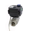 Flomarvel DN25 motorized ball valve 2 Wire Auto Return Stainless ADC9-24V