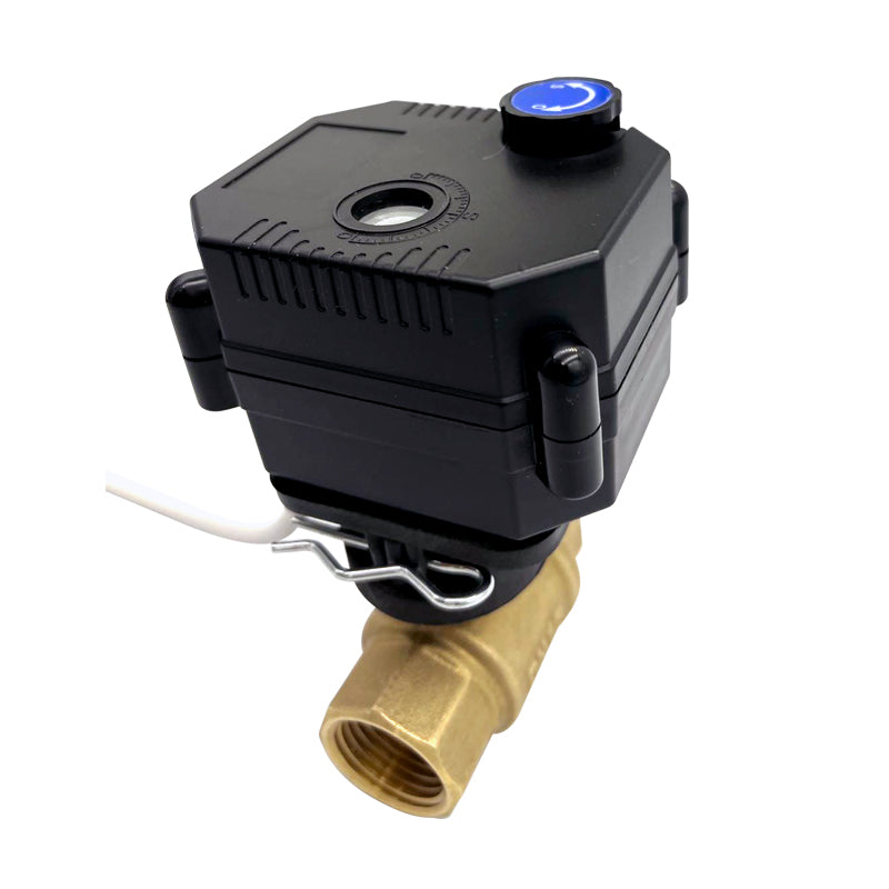 Flomarvel DN20 motorized ball valve 2 Wire Reverse Polarity Brass ADC9-335V