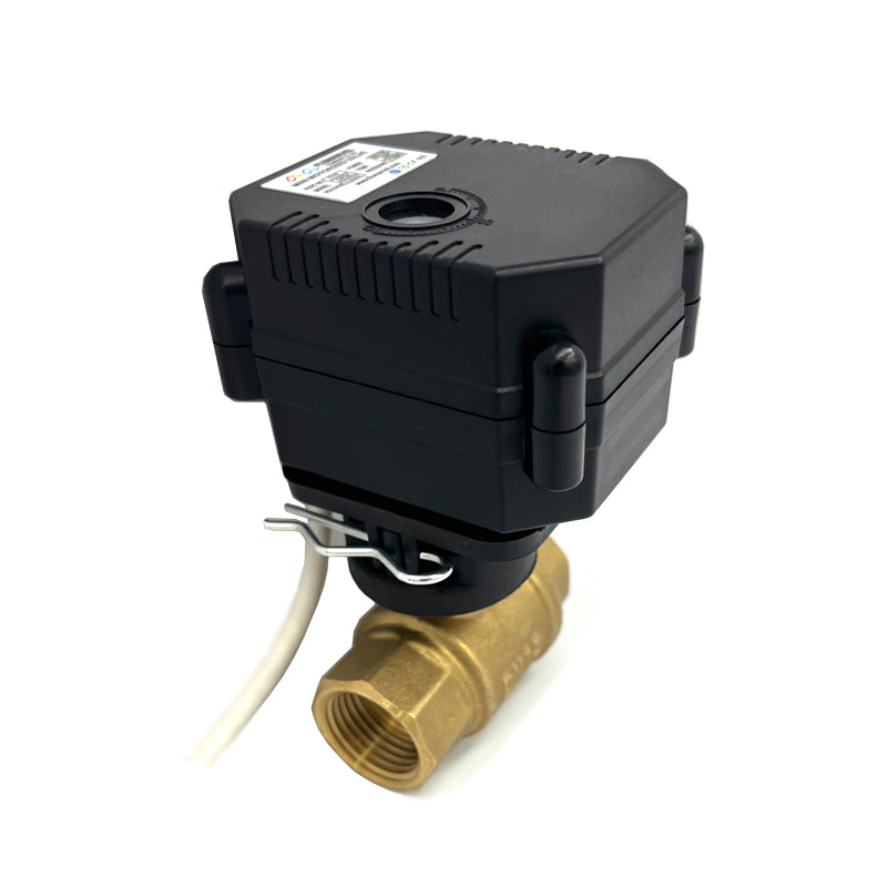 Flomarvel DN20 motorized ball valve 2 Wire Auto Return Brass DC5V
